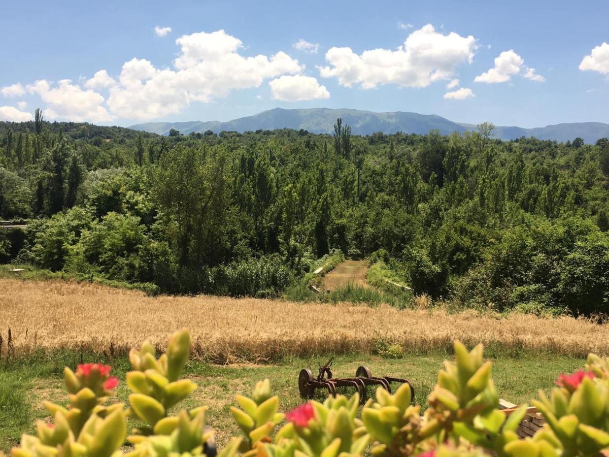 אבטג'ו Bed&Breakfast La Ginestra מראה חיצוני תמונה